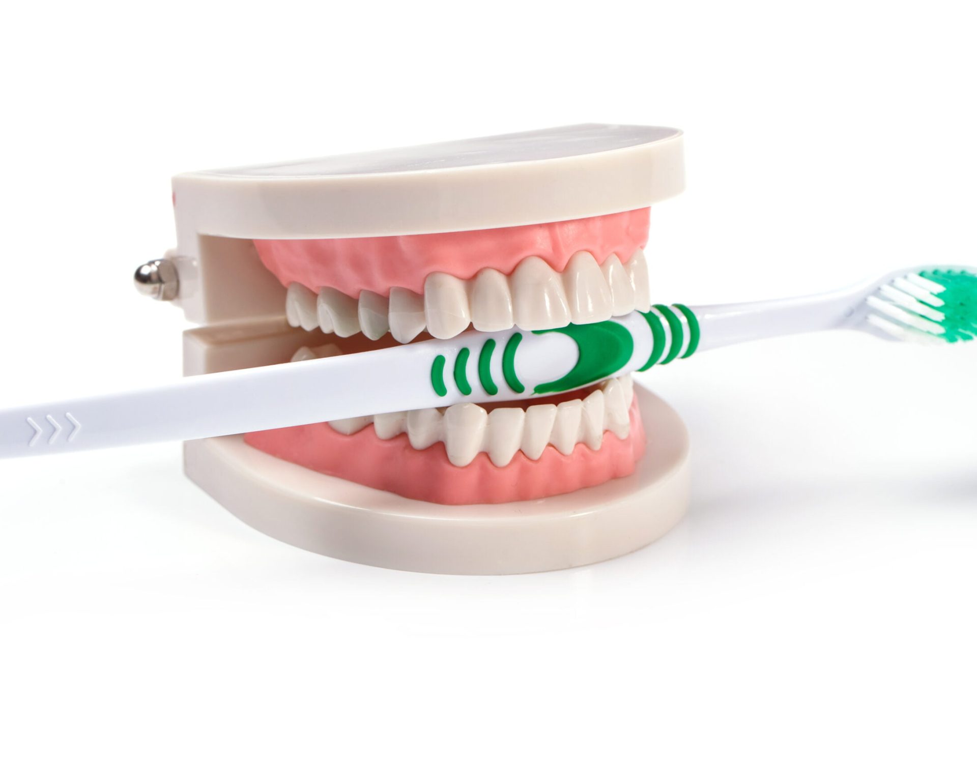 White teeth on the table